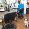 看板犬の大吉くんがお出迎え！カット持ち抜群の隠れ家的な美容室！