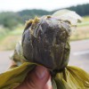 手作りにこだわった食材ばかり！フローライト入り笹餅もあり！