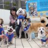 Jリーグに属するプロサッカーチーム「ブラウブリッツ秋田（J3）」を犬と共に応援する秋田市のボランティア団体。
