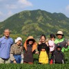 贈答品にピッタリのブランド茶！平成26年に「内閣総理大臣賞」を受賞された、4代続く老舗お茶農家が作る究極の「うれしの茶」。