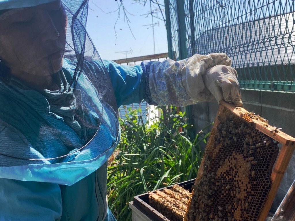 BEE HAPPY（神奈川県、養蜂、健やかに育ったみつばちたちが集めた稀少なはちみつ！） | D.Member.Com